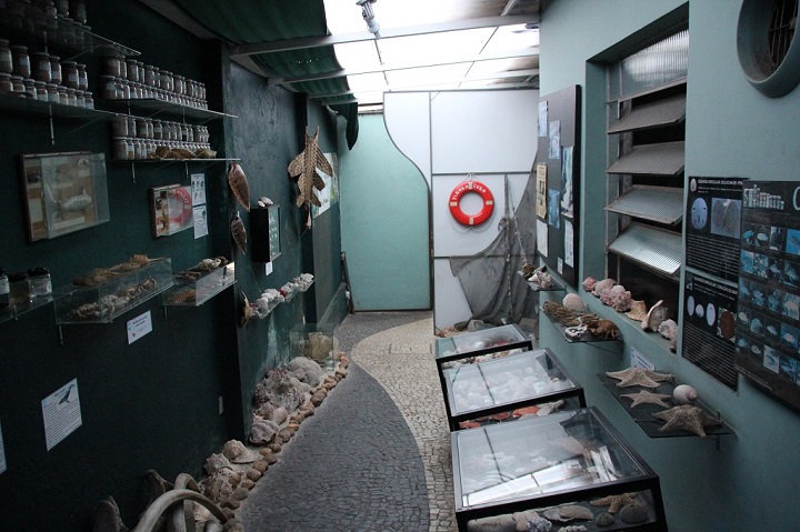 Exposição - água doce